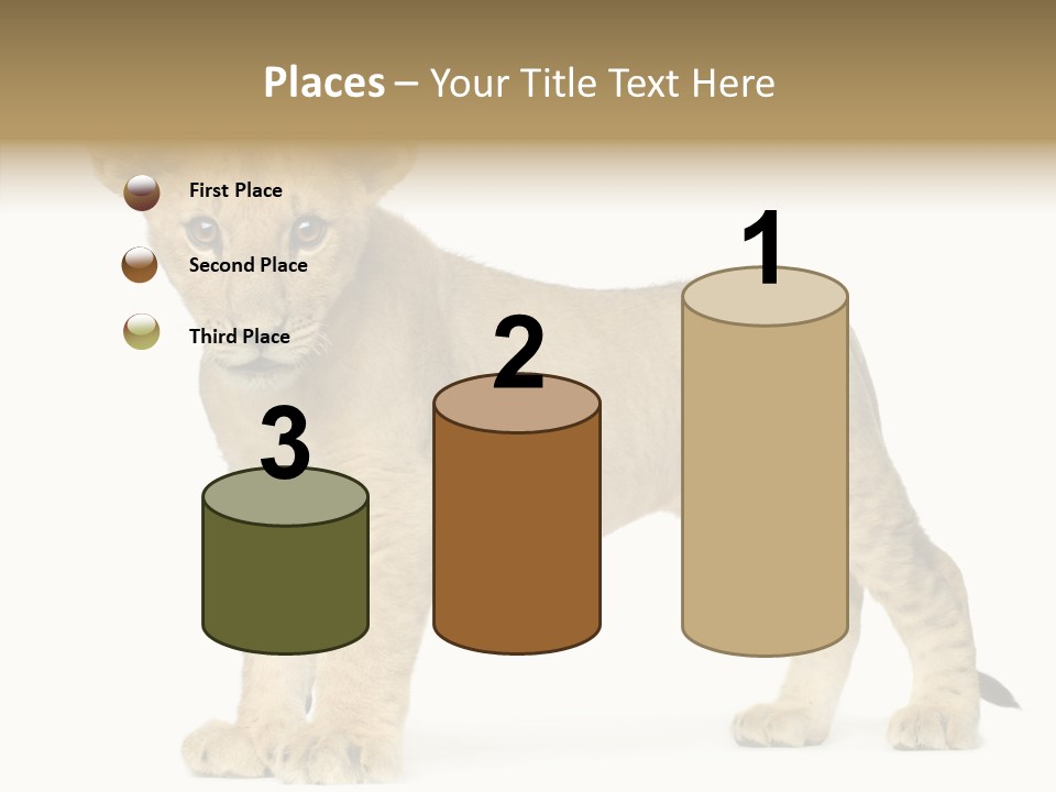 Tail Whisker Shot PowerPoint Template