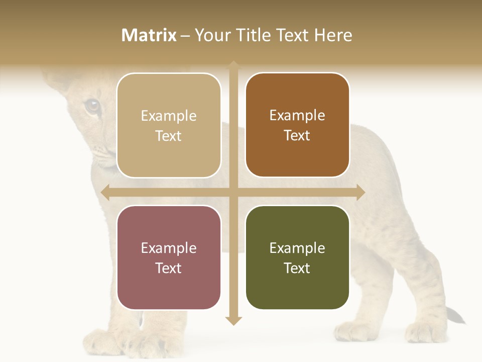 Tail Whisker Shot PowerPoint Template