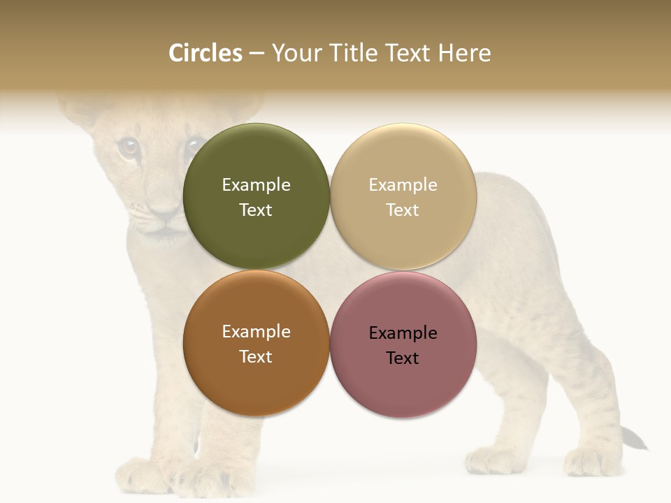 Tail Whisker Shot PowerPoint Template