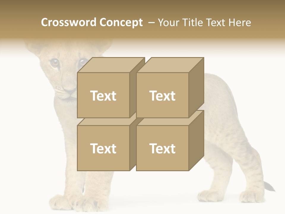 Tail Whisker Shot PowerPoint Template
