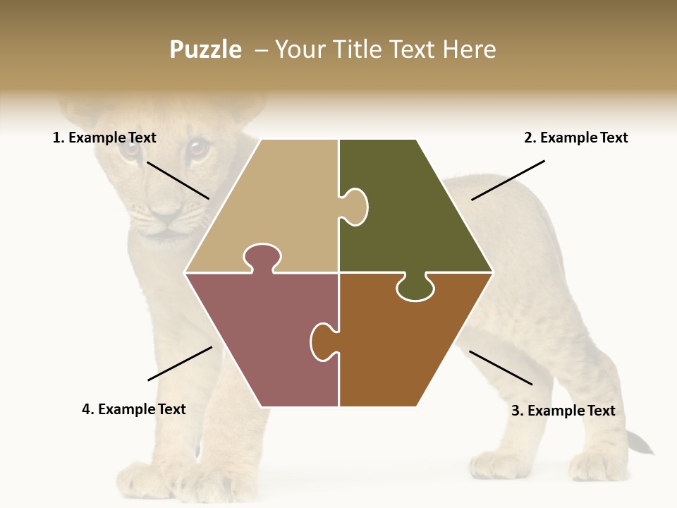 Tail Whisker Shot PowerPoint Template