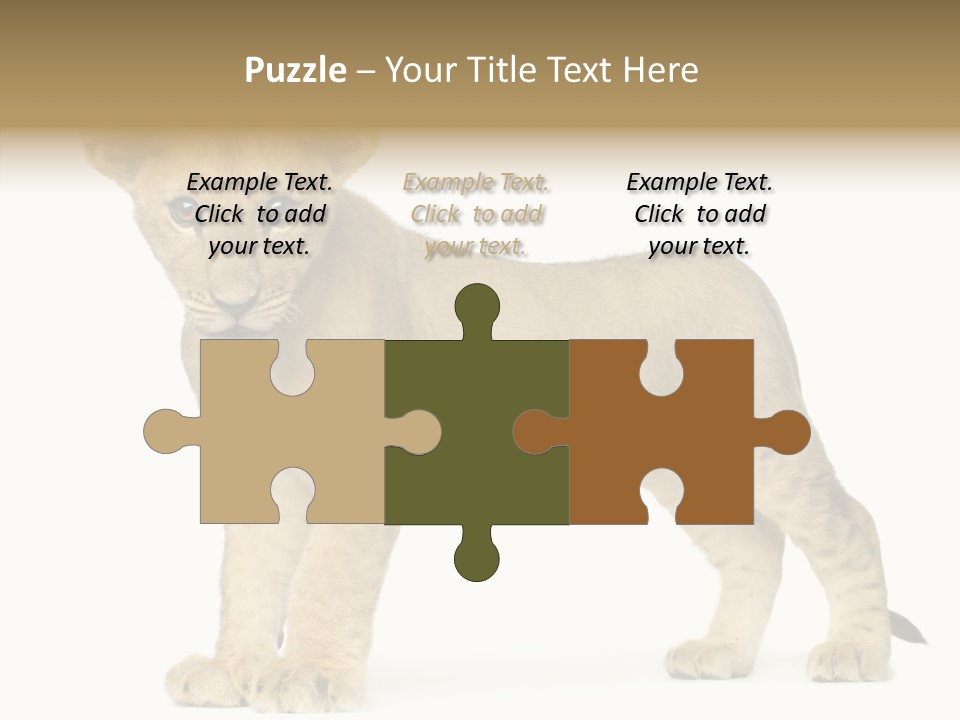 Tail Whisker Shot PowerPoint Template