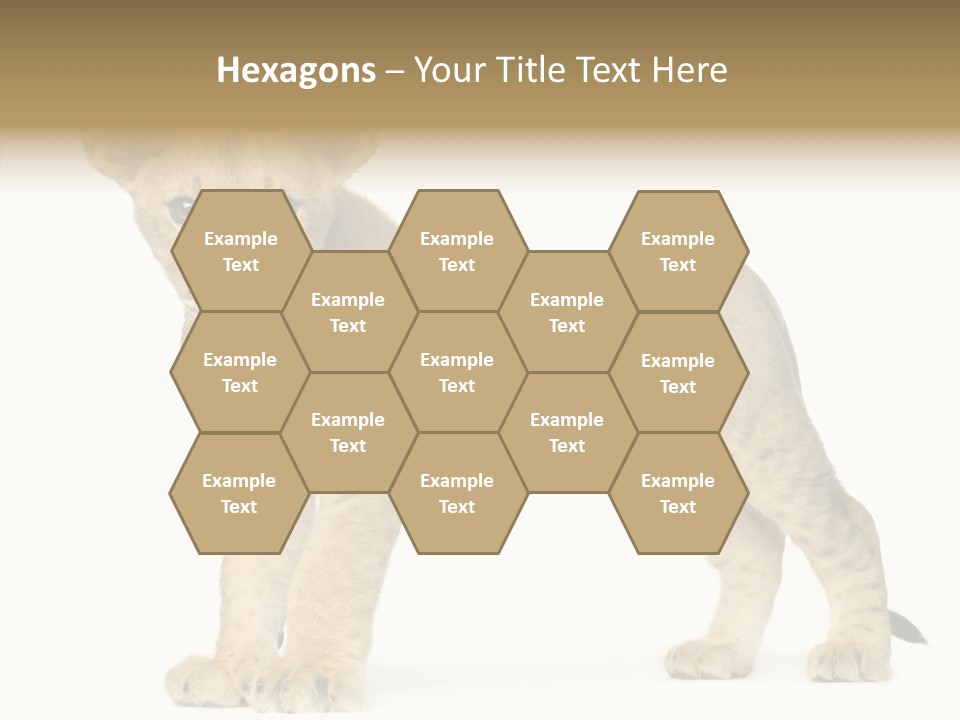 Tail Whisker Shot PowerPoint Template