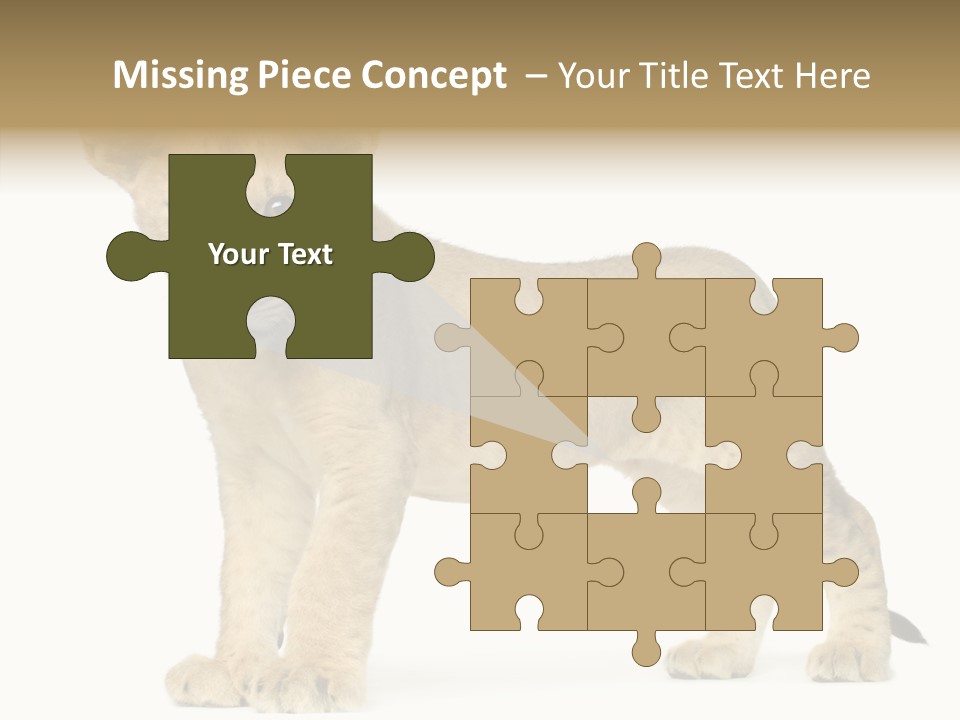 Tail Whisker Shot PowerPoint Template