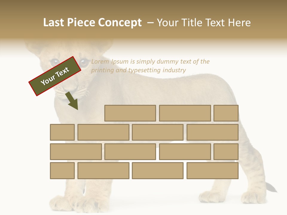 Tail Whisker Shot PowerPoint Template