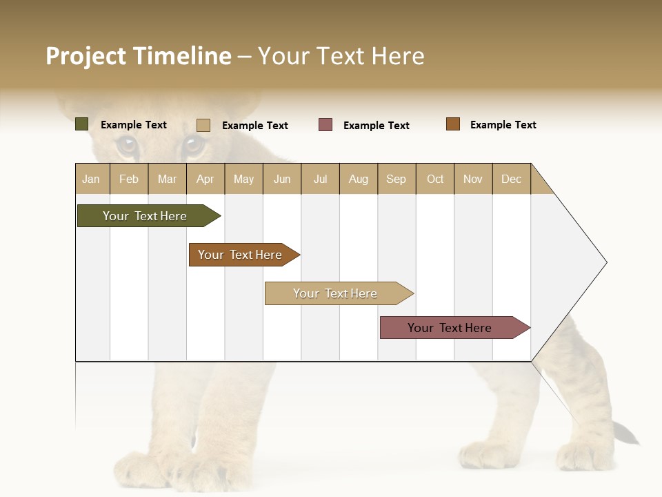 Tail Whisker Shot PowerPoint Template