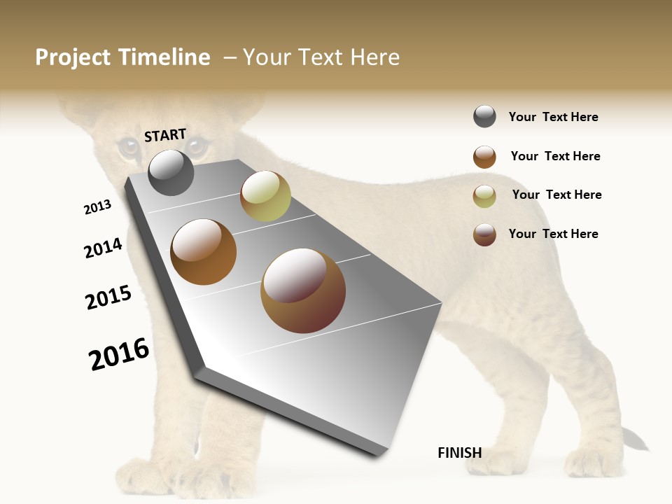 Tail Whisker Shot PowerPoint Template