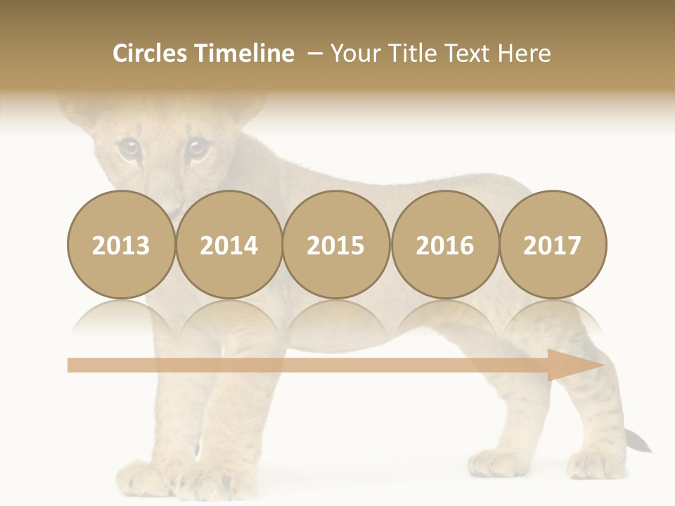 Tail Whisker Shot PowerPoint Template