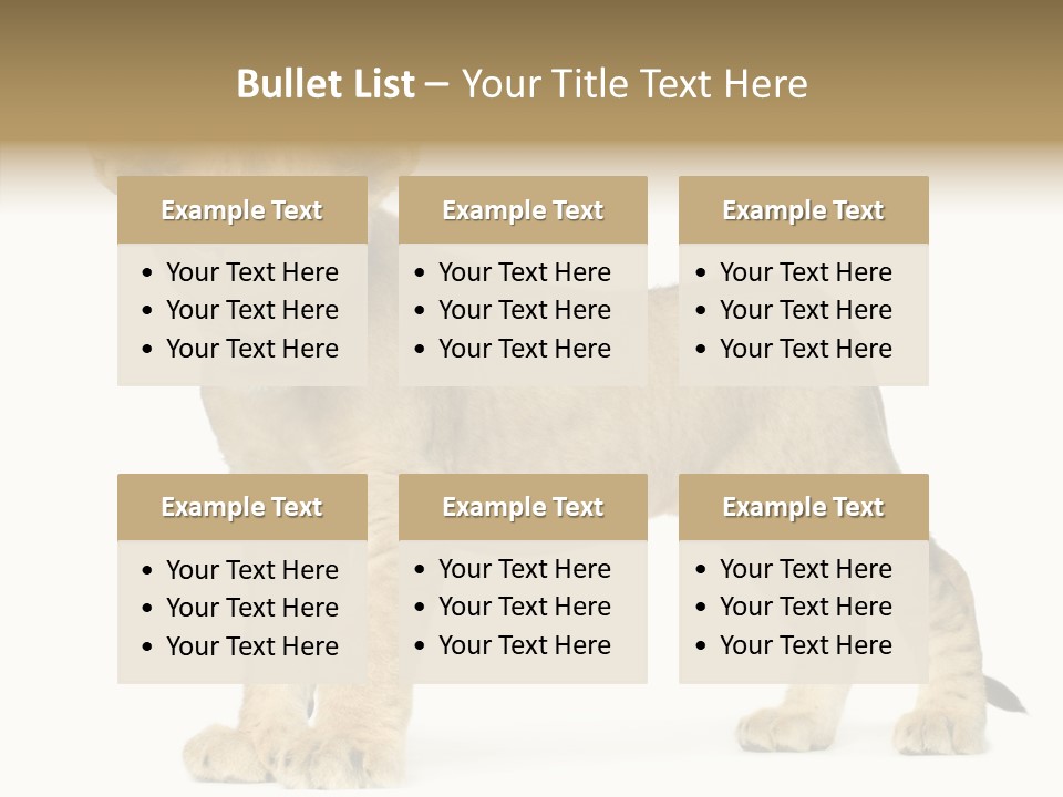 Tail Whisker Shot PowerPoint Template