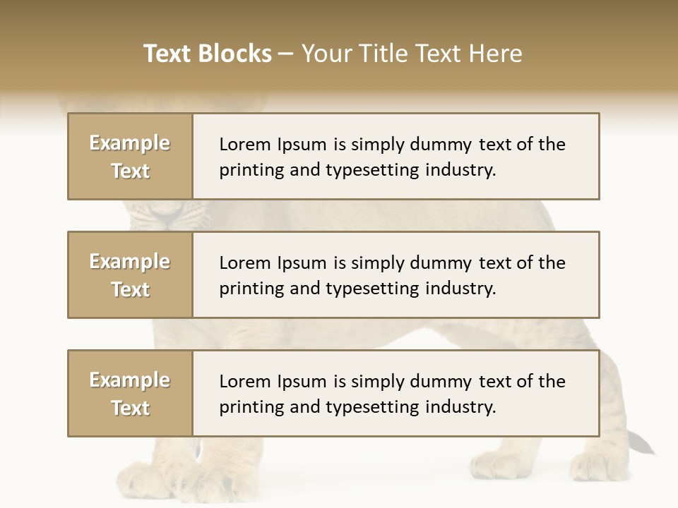Tail Whisker Shot PowerPoint Template
