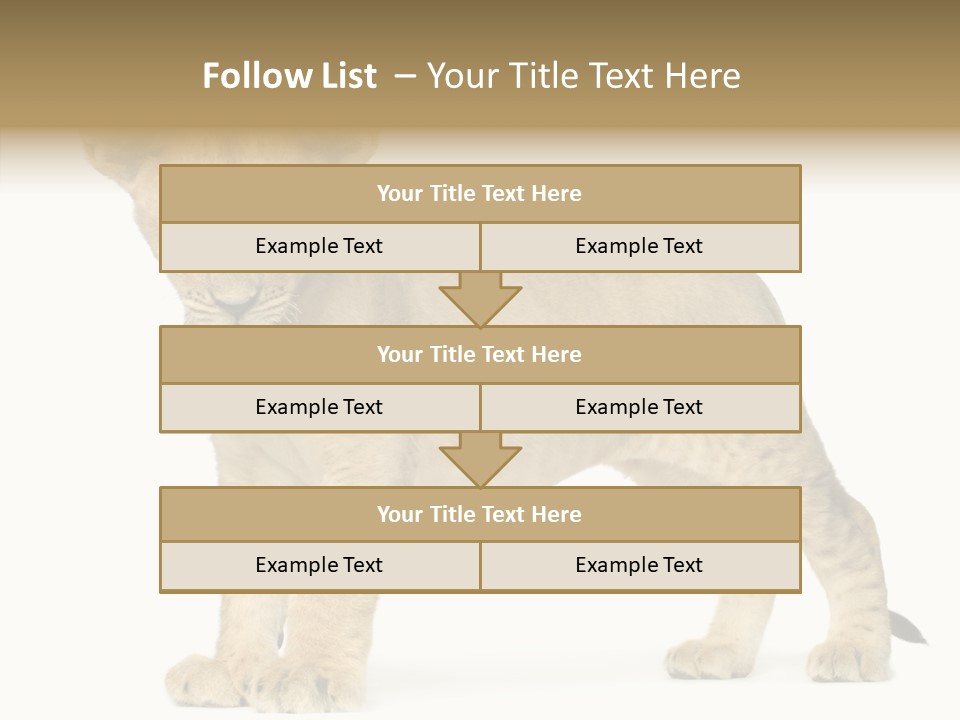 Tail Whisker Shot PowerPoint Template