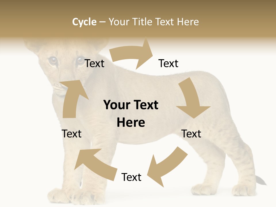 Tail Whisker Shot PowerPoint Template
