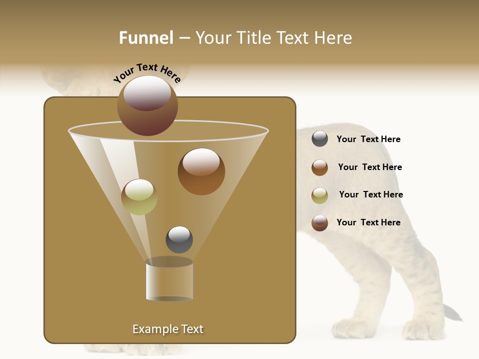 Tail Whisker Shot PowerPoint Template