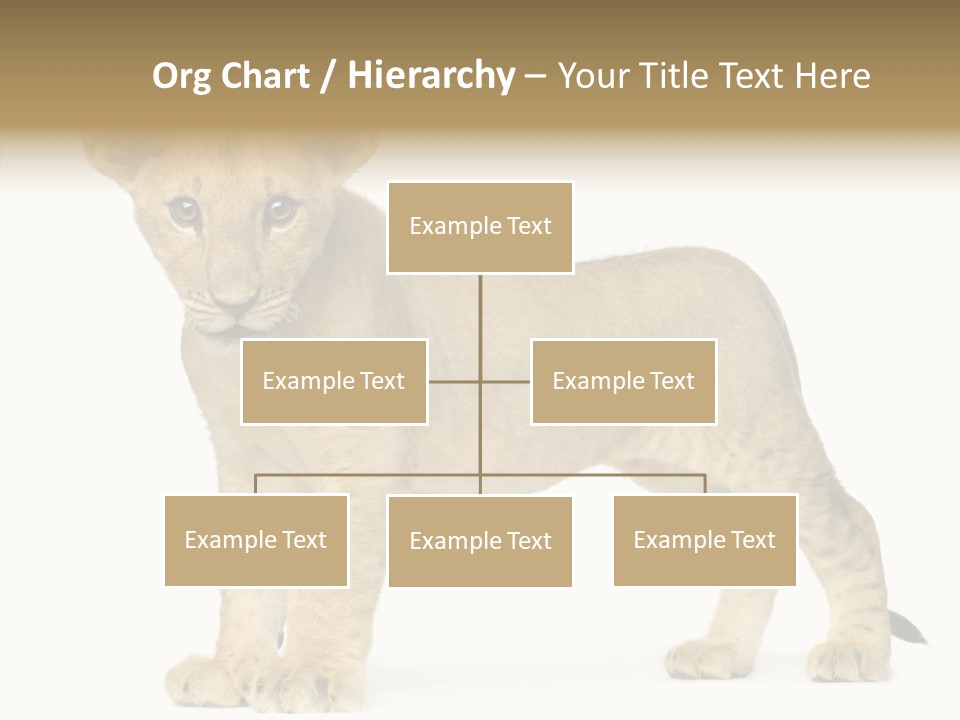 Tail Whisker Shot PowerPoint Template