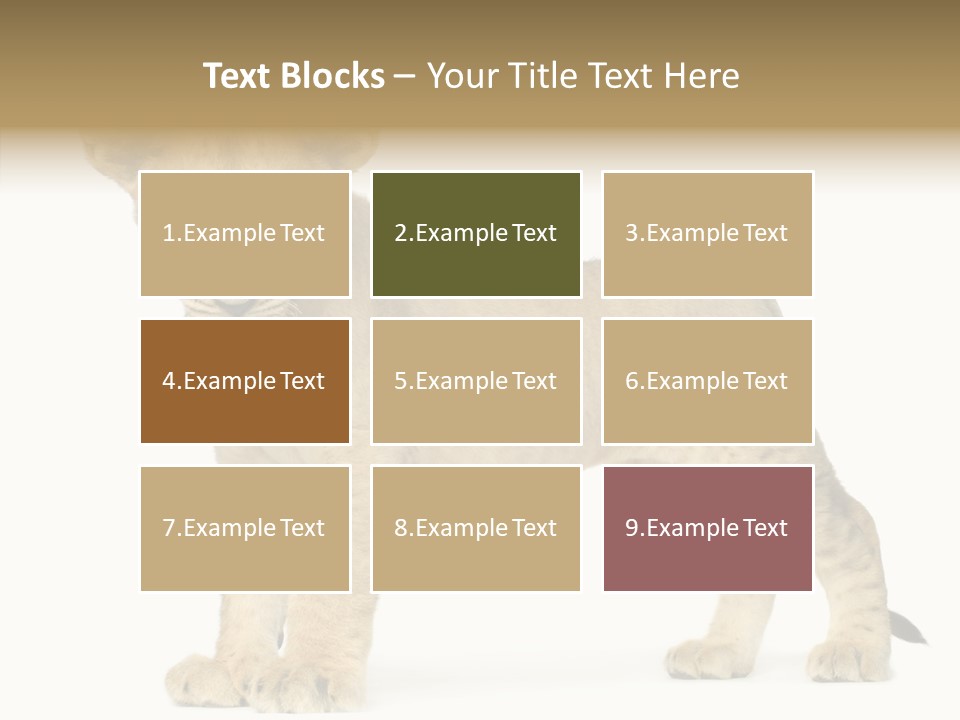 Tail Whisker Shot PowerPoint Template