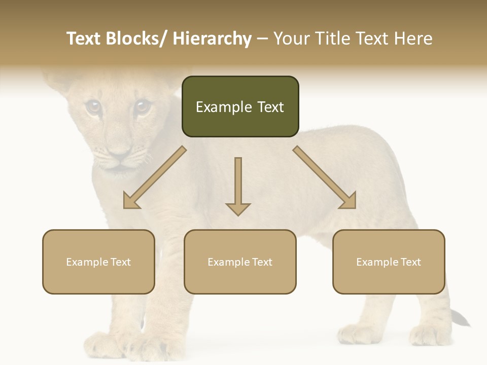 Tail Whisker Shot PowerPoint Template