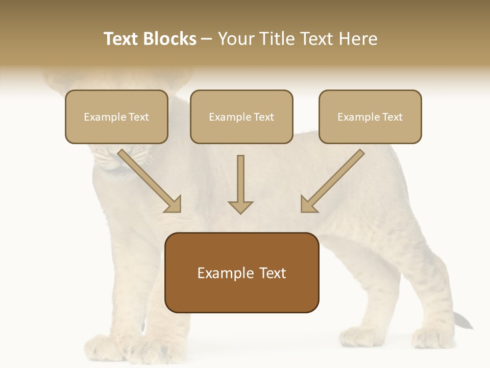 Tail Whisker Shot PowerPoint Template