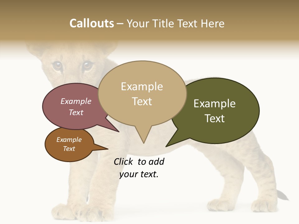 Tail Whisker Shot PowerPoint Template