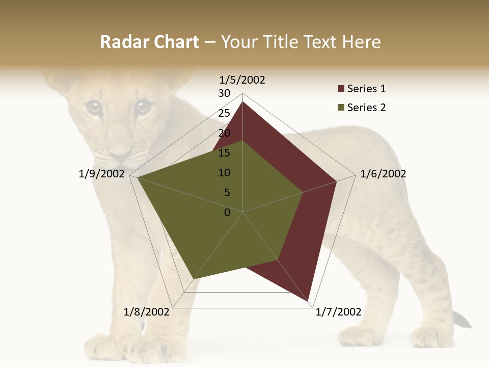 Tail Whisker Shot PowerPoint Template