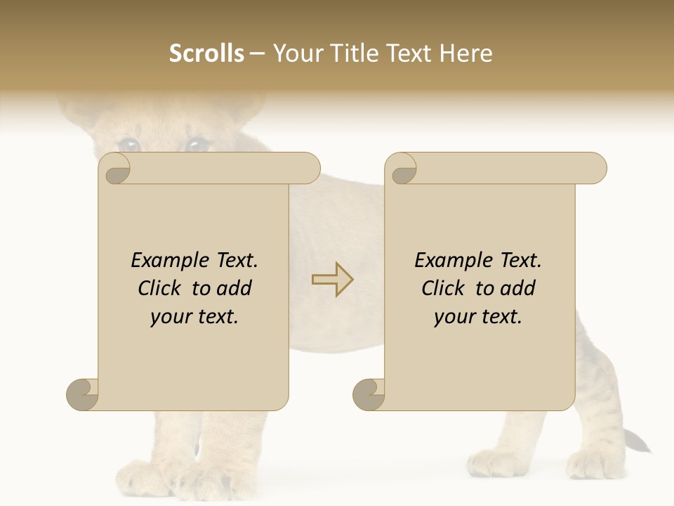 Tail Whisker Shot PowerPoint Template
