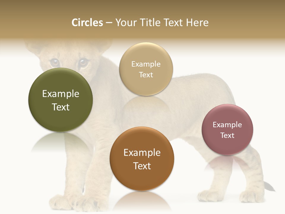 Tail Whisker Shot PowerPoint Template