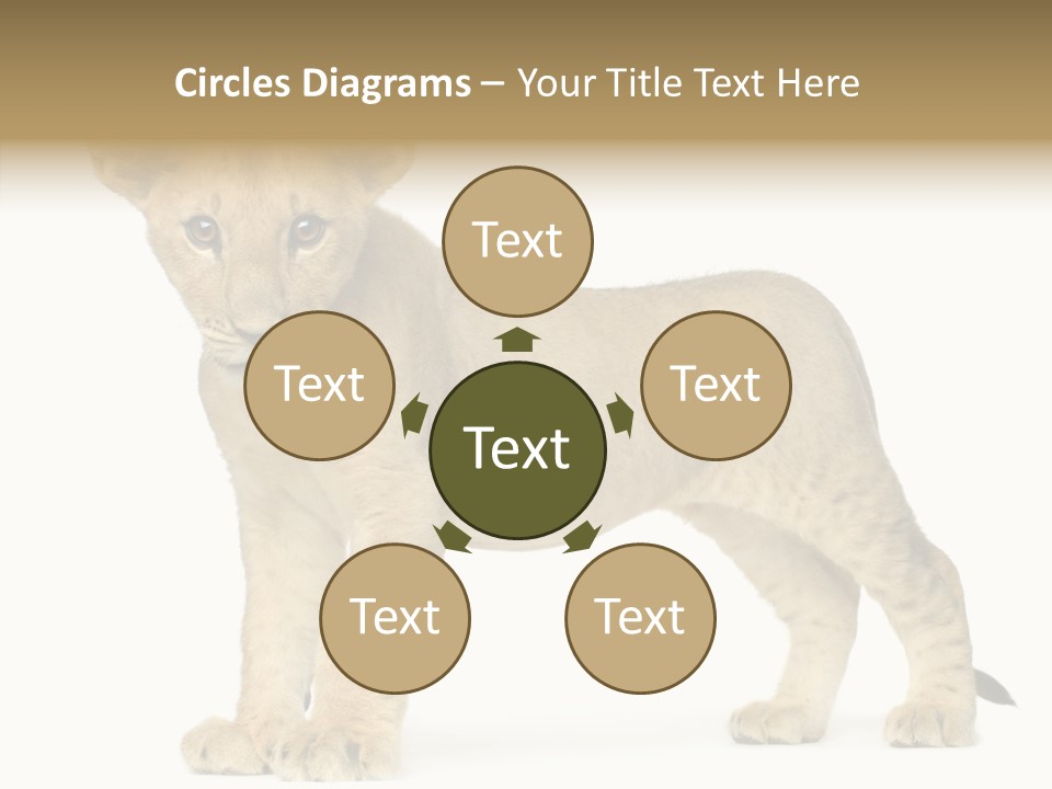 Tail Whisker Shot PowerPoint Template