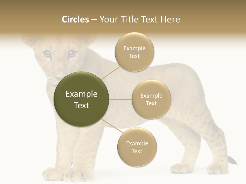 Tail Whisker Shot PowerPoint Template