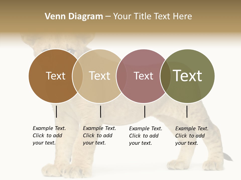 Tail Whisker Shot PowerPoint Template