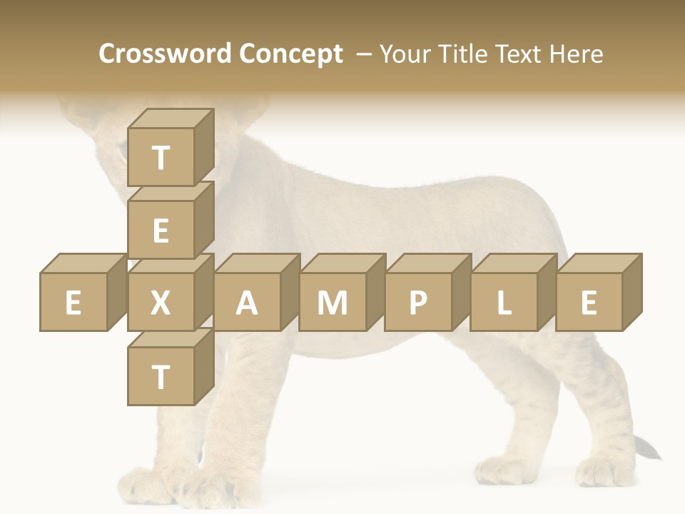 Tail Whisker Shot PowerPoint Template