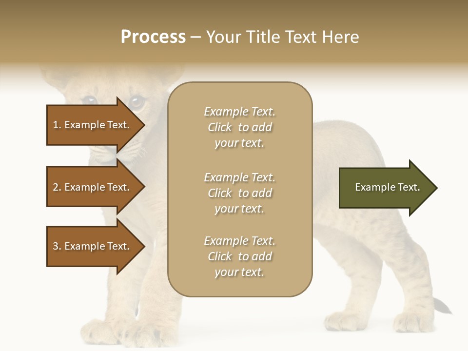 Tail Whisker Shot PowerPoint Template