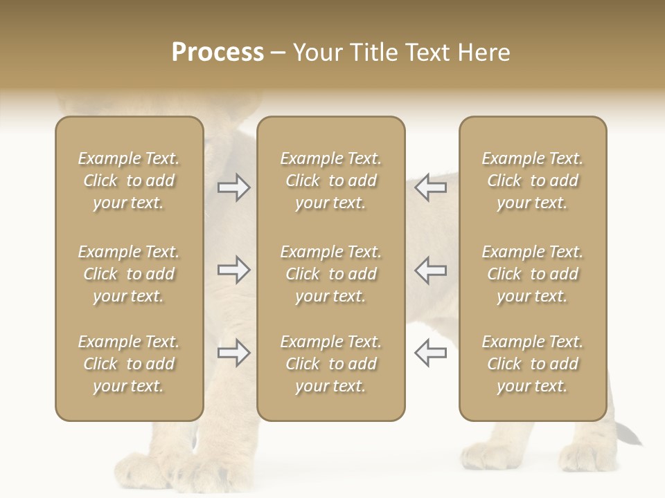 Tail Whisker Shot PowerPoint Template