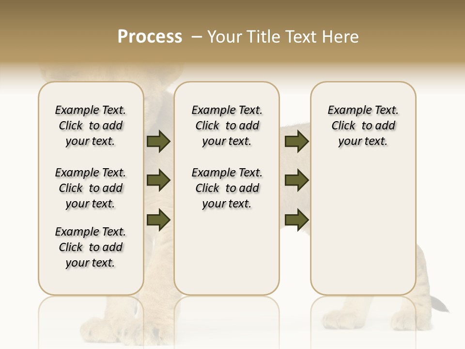 Tail Whisker Shot PowerPoint Template