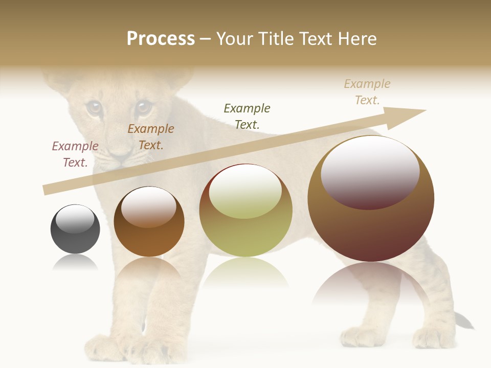 Tail Whisker Shot PowerPoint Template