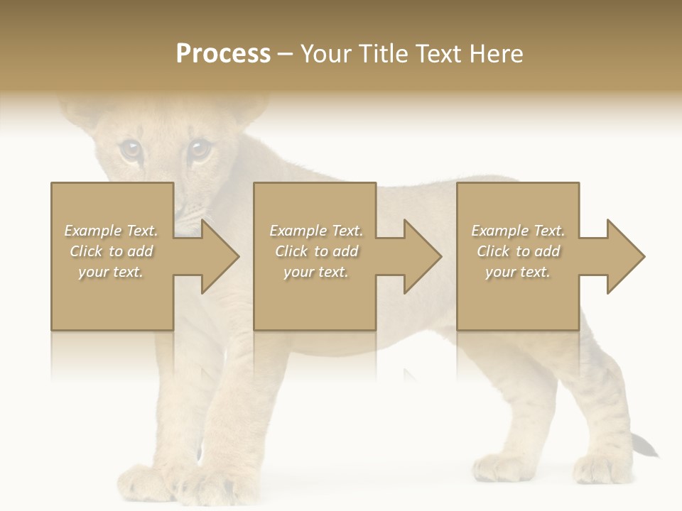 Tail Whisker Shot PowerPoint Template