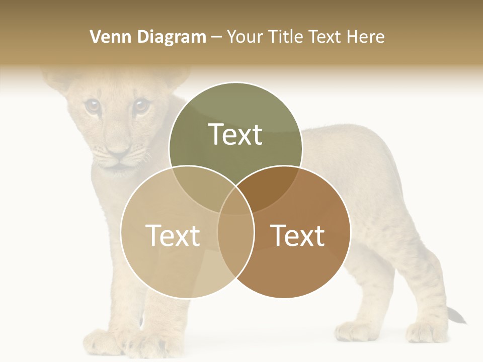 Tail Whisker Shot PowerPoint Template