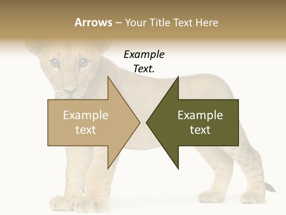 Tail Whisker Shot PowerPoint Template