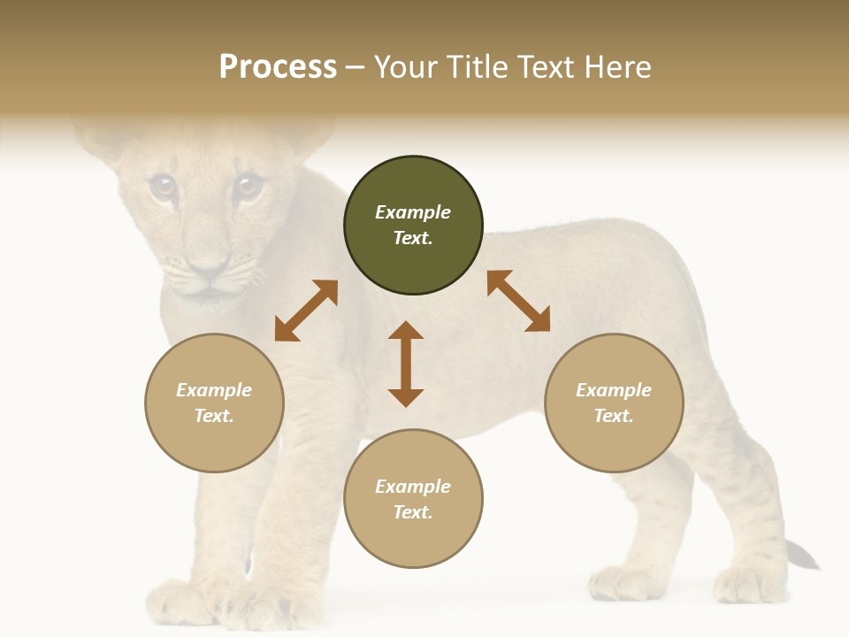 Tail Whisker Shot PowerPoint Template