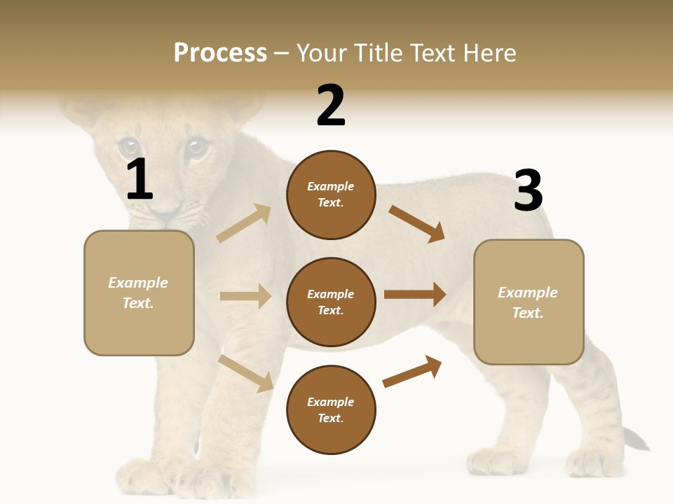 Tail Whisker Shot PowerPoint Template