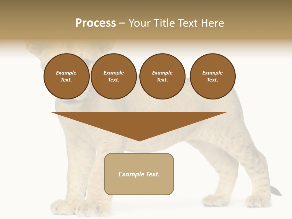 Tail Whisker Shot PowerPoint Template