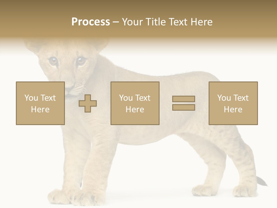 Tail Whisker Shot PowerPoint Template