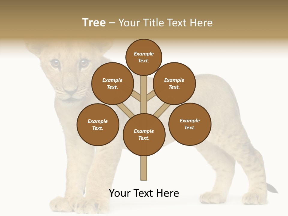 Tail Whisker Shot PowerPoint Template