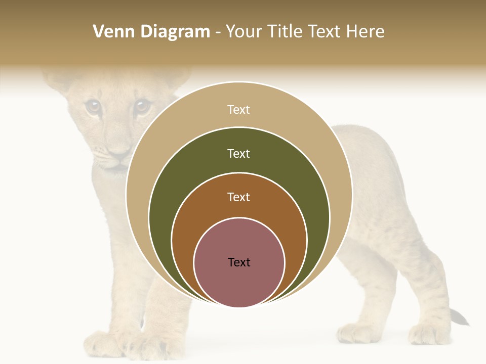 Tail Whisker Shot PowerPoint Template