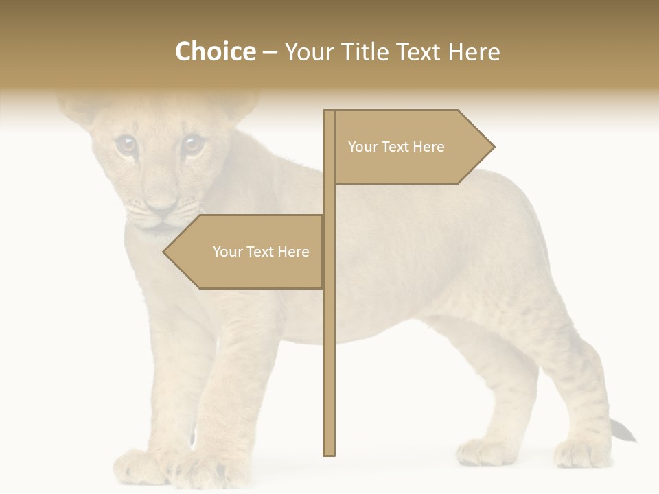 Tail Whisker Shot PowerPoint Template