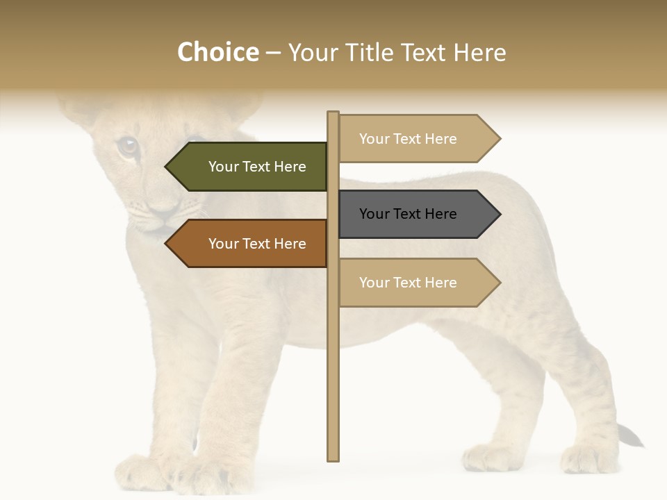 Tail Whisker Shot PowerPoint Template