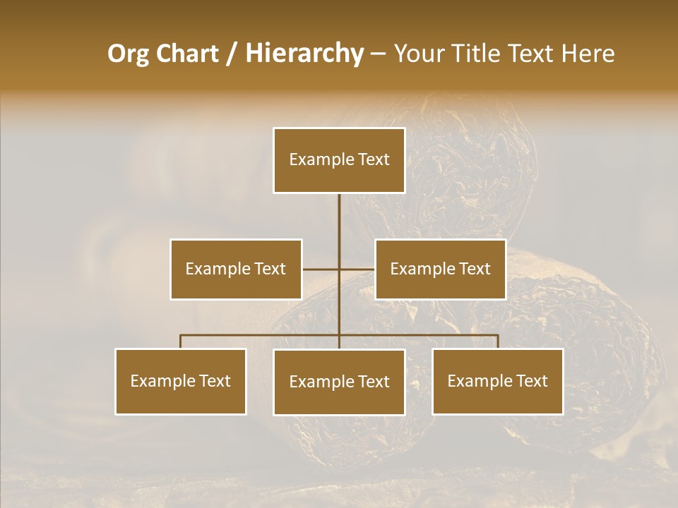 Close Up Life Still PowerPoint Template