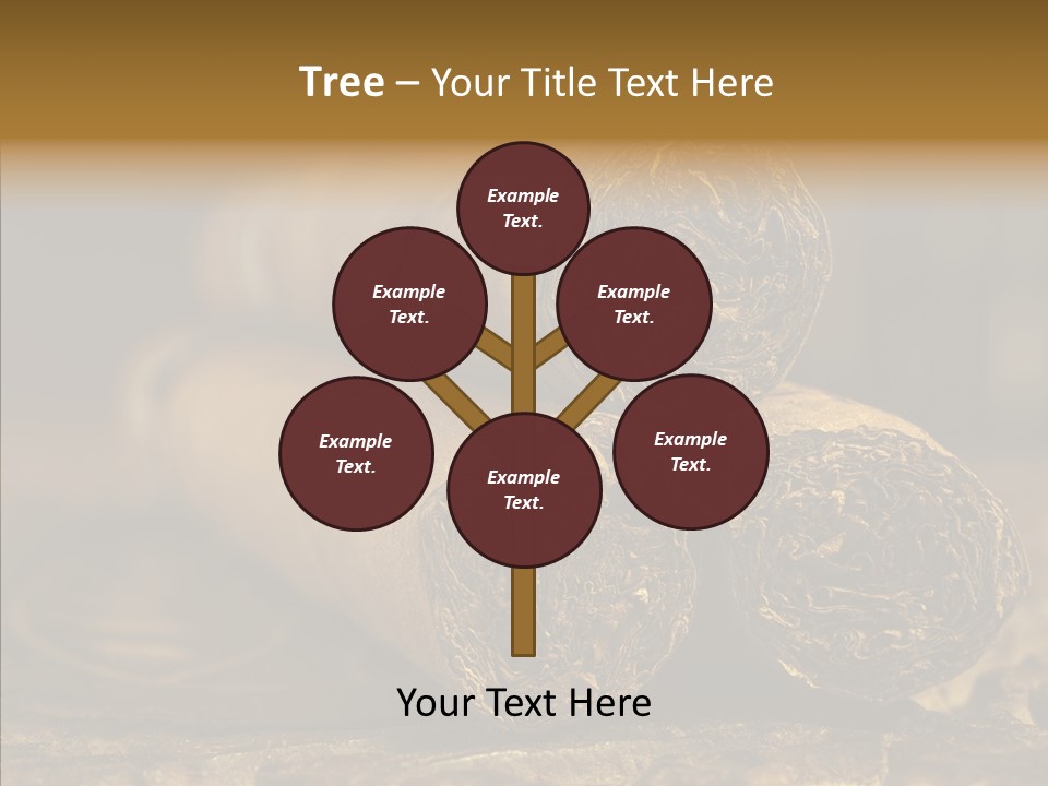 Close Up Life Still PowerPoint Template