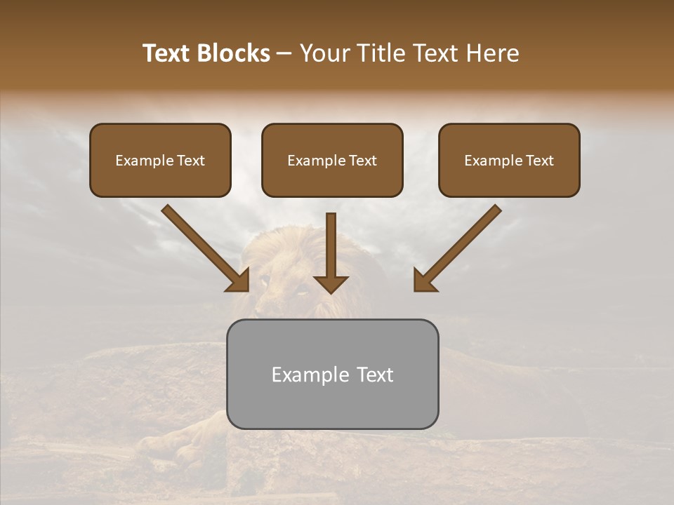 Outdoors Outside Background PowerPoint Template