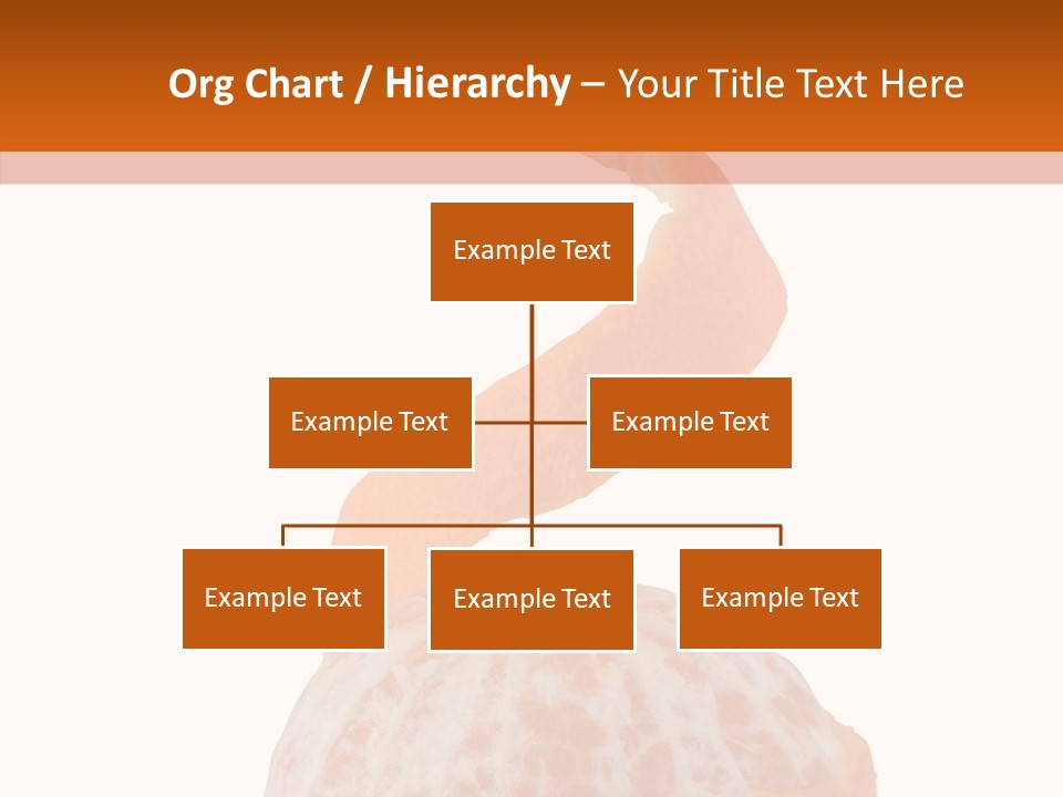Single Mandarin Healthy PowerPoint Template