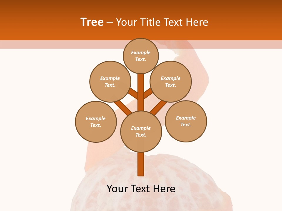 Single Mandarin Healthy PowerPoint Template