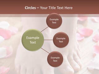 Feminine Indoors Wood PowerPoint Template